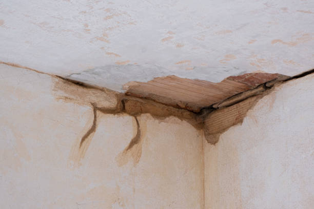 Best Residential water damage restoration  in Pike Creek, DE