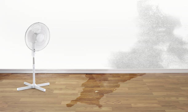 Best Professional water damage repair  in Pike Creek, DE