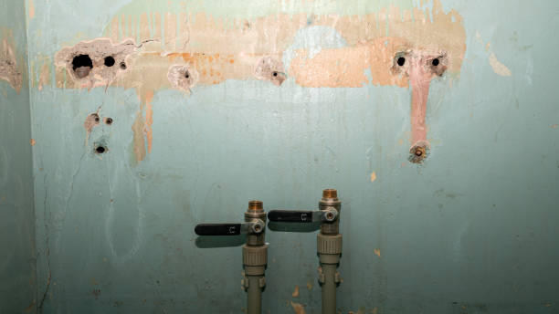 Best Mold removal after water damage  in Pike Creek, DE