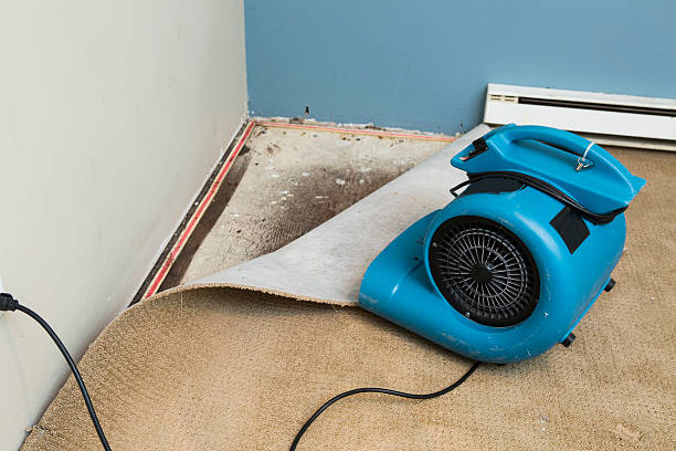 Best Water damage cleanup near me  in Pike Creek, DE